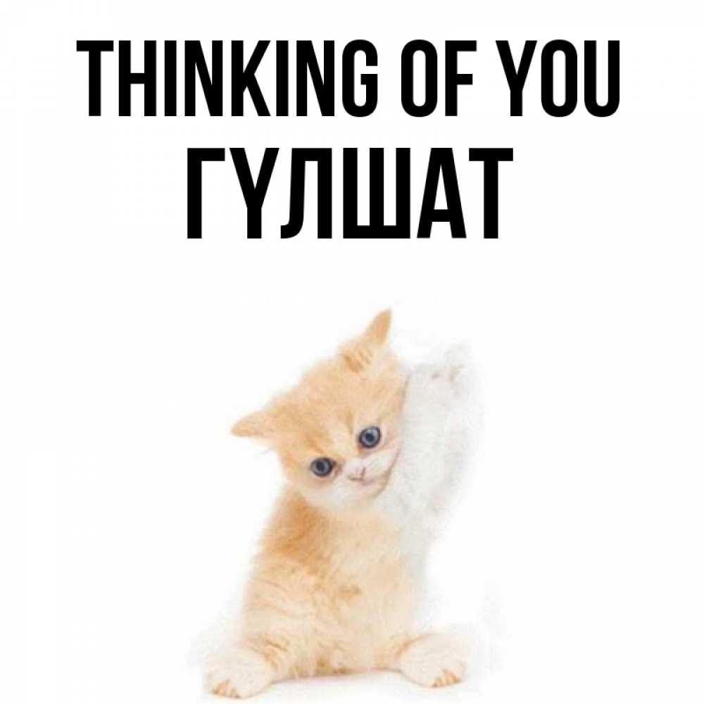 Greetings card с именем, ГҮЛШАТ Thinking of you зверушки и милота Greetings with text for free download 