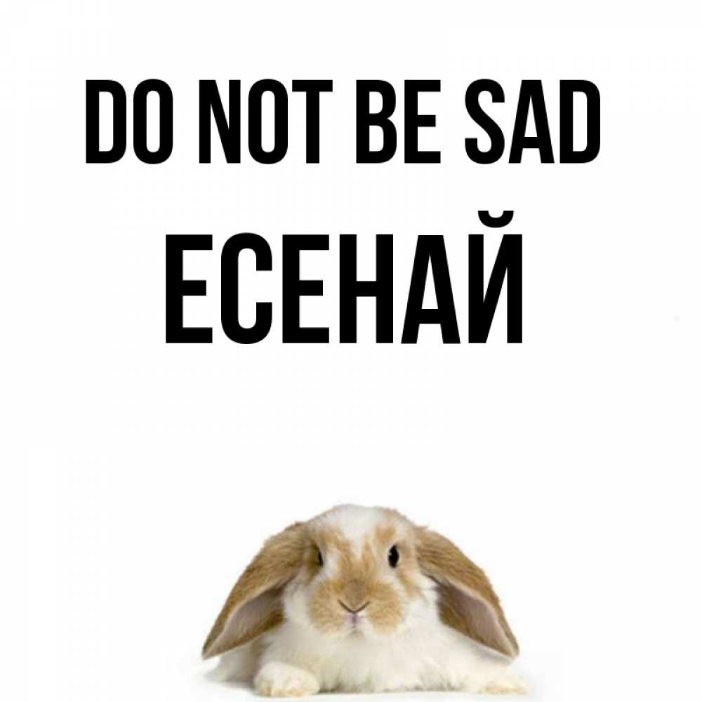 Greetings card с именем, Есенай Do not be sad коричнево белый заяц с большими ушками Greetings with text for free download 