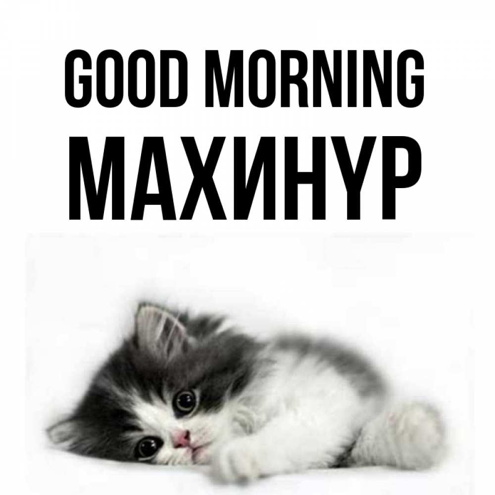 Greetings card с именем, МАХИНҮР Good morning кот лапки Greetings with text for free download 
