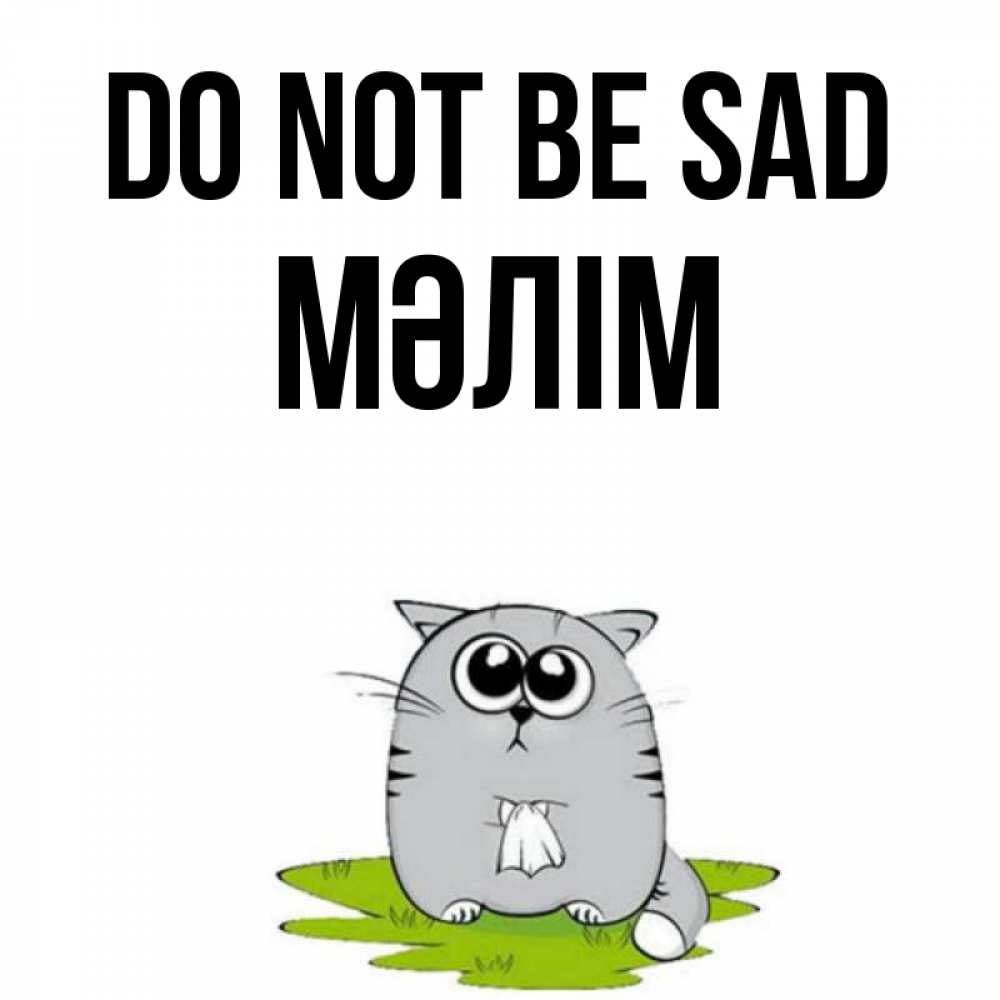 Greetings card с именем, МӘЛІМ Do not be sad грустный котяра Greetings with text for free download 