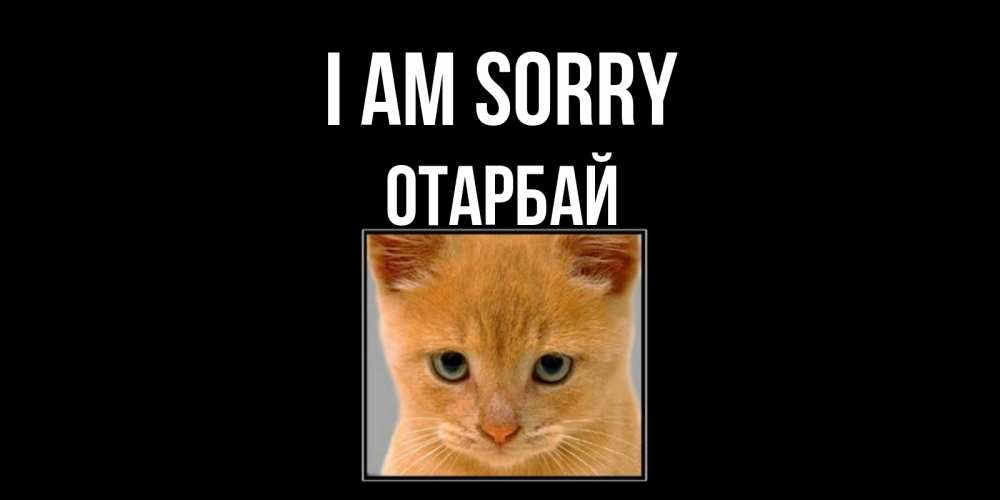 Greetings card с именем, ОТАРБАЙ I am sorry рыжий грустный кот просит прощения Greetings with text for free download 