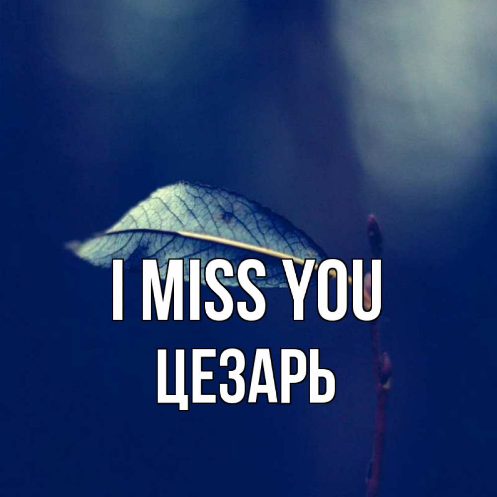 Greetings card с именем, Цезарь I miss you одна ветка 1 Greetings with text for free download 