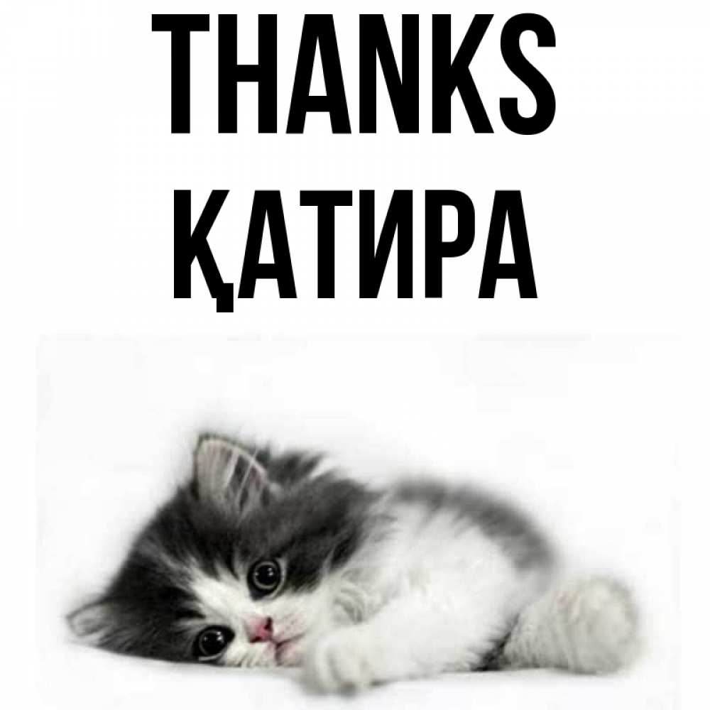 Greetings card с именем, ҚАТИРА Thanks черный и белый кот Greetings with text for free download 