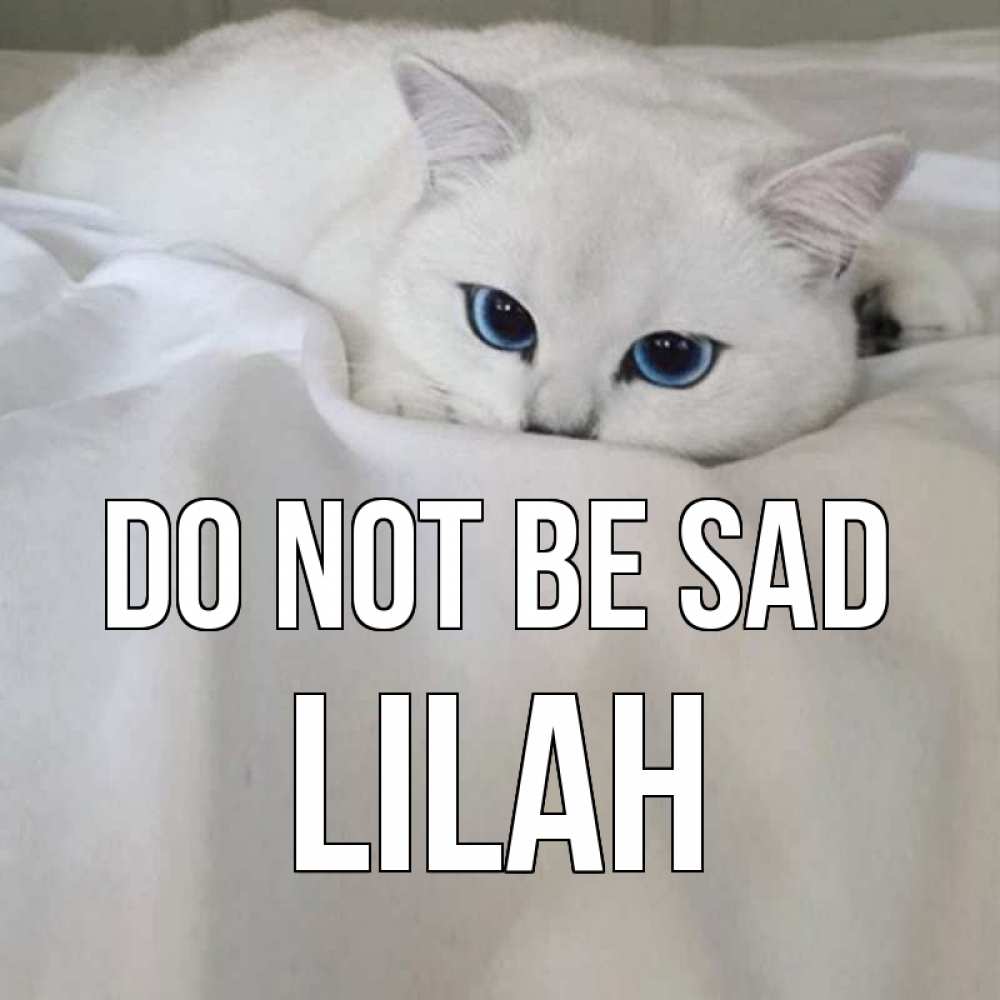 Greetings card с именем, Lilah Do not be sad белый кот с голубыми глазами на белоснежной кровати Greetings with text for free download 