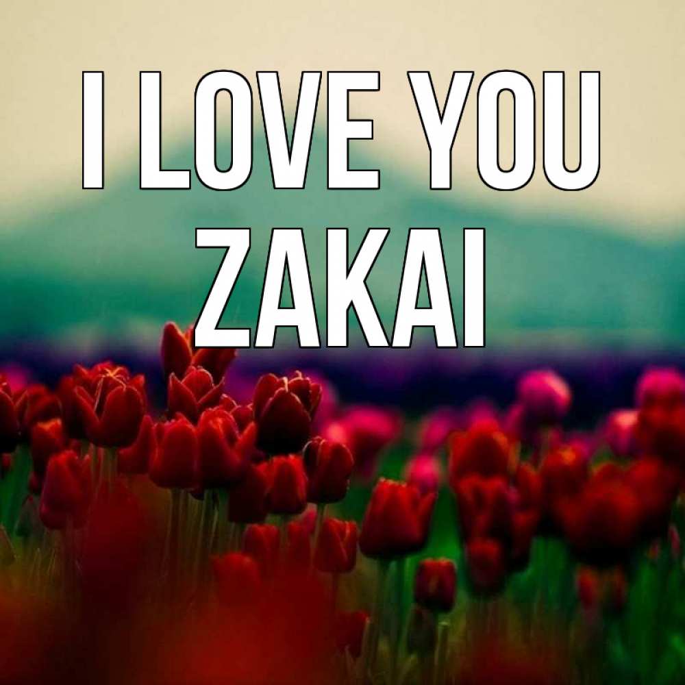 Greetings card с именем, Zakai I love you тюльпаны 4 Greetings with text for free download 