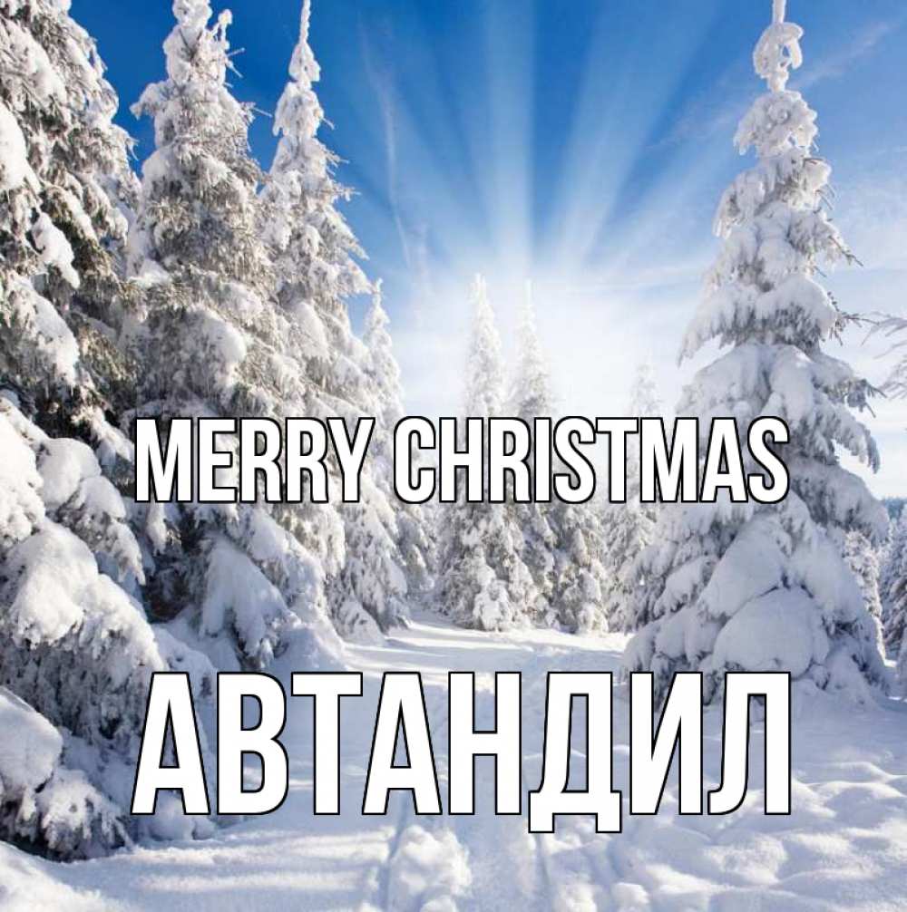 Greetings card с именем, Автандил Merry Christmas зима, лес Greetings with text for free download 