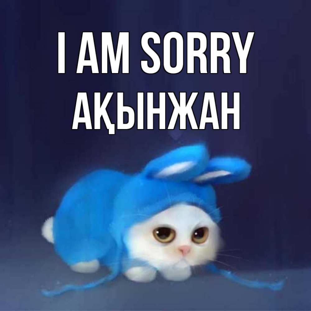 Greetings card с именем, Ақынжан I am sorry невинный котозай просит прощения Greetings with text for free download 