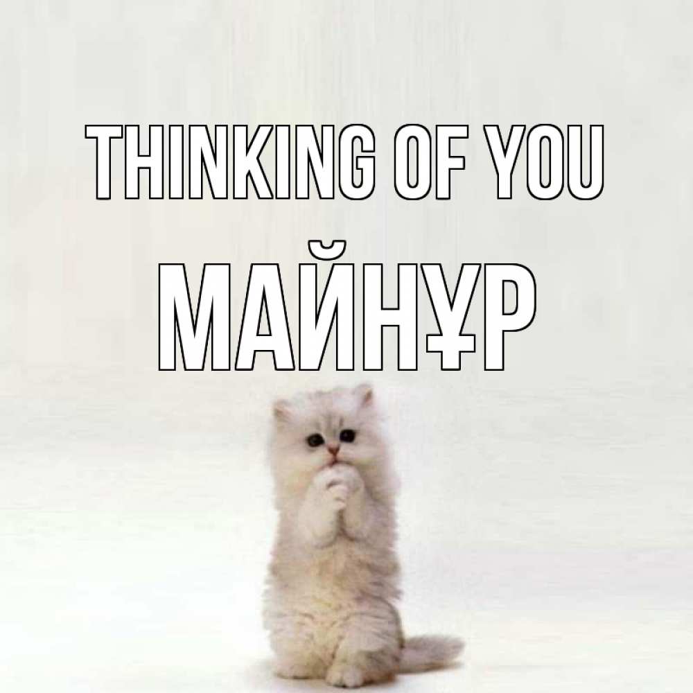 Greetings card с именем, МАЙНҰР Thinking of you кот стоит на задних лапах Greetings with text for free download 