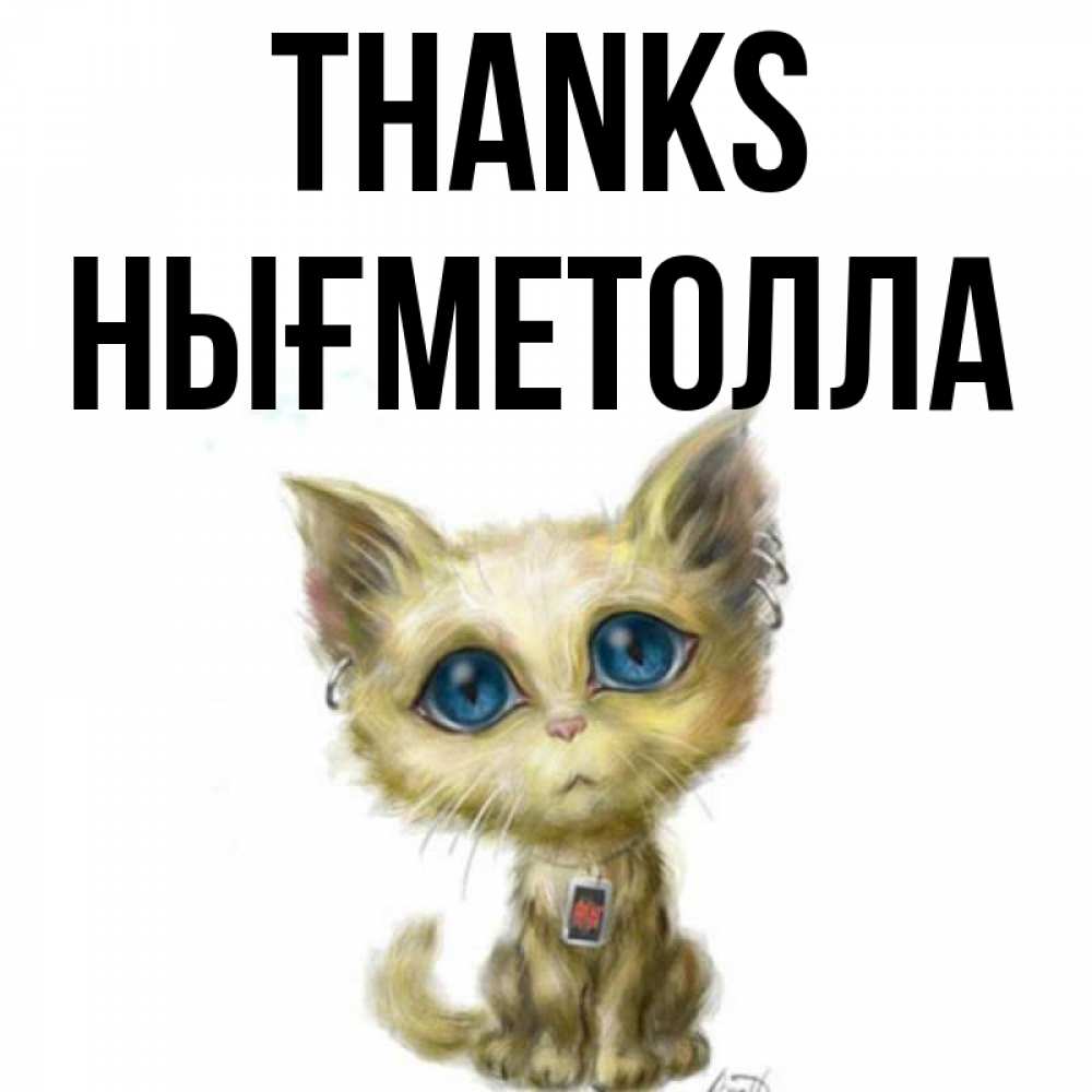 Greetings card с именем, НЫҒМЕТОЛЛА Thanks рисованный кот благодарит вас Greetings with text for free download 