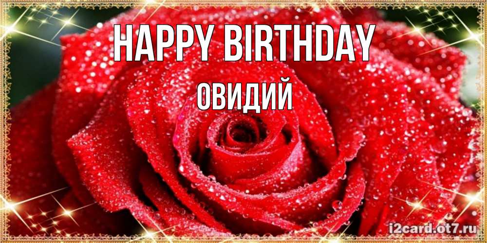 Greetings card с именем, Овидий Happy Birthday роса и роза. открытка с красивой розой Greetings with text for free download 