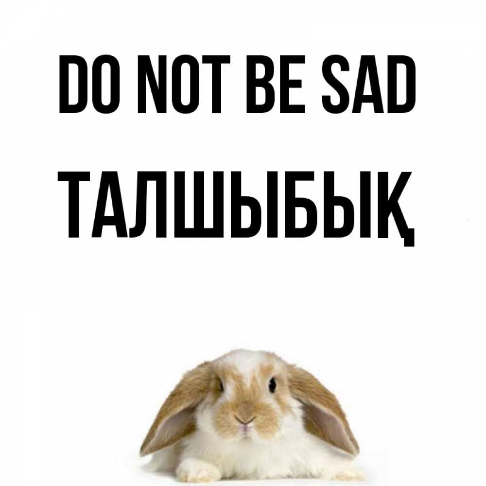 Greetings card с именем, ТАЛШЫБЫҚ Do not be sad коричнево белый заяц с большими ушками Greetings with text for free download 