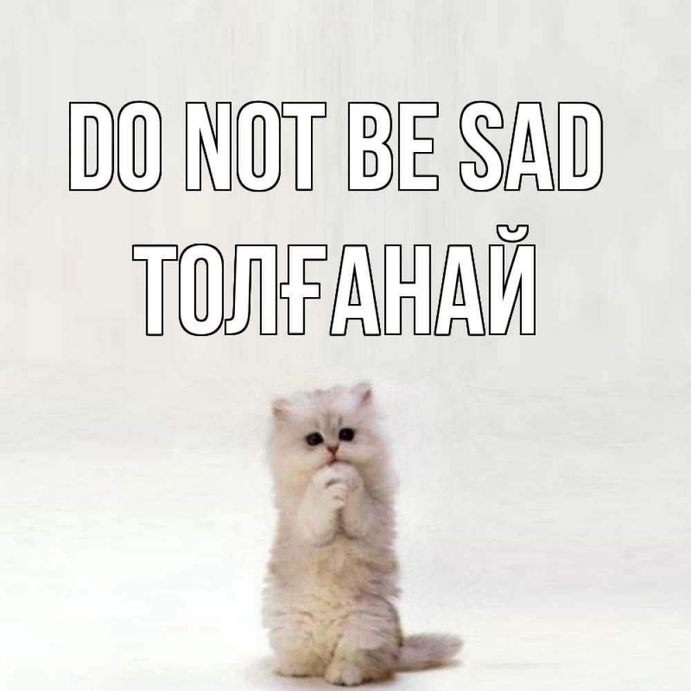 Greetings card с именем, ТОЛҒАНАЙ Do not be sad грустный кот Greetings with text for free download 