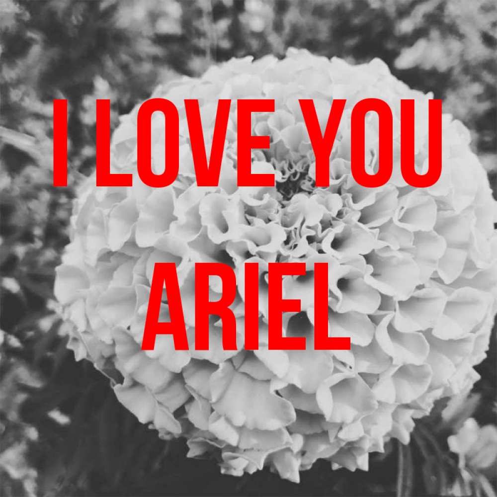 Greetings card с именем, Ariel I love you подпись Greetings with text for free download 
