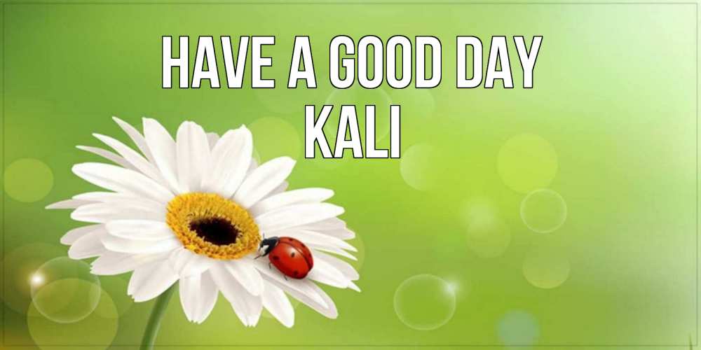 Greetings card с именем, Kali Have a good day зеленый фон и ромашка Greetings with text for free download 