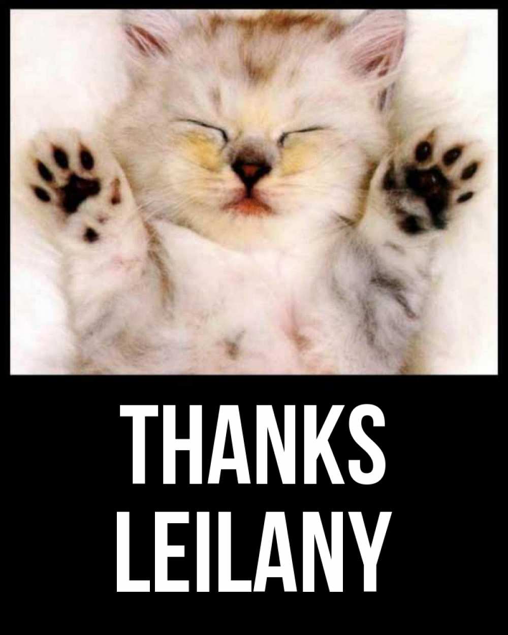 Greetings card с именем, Leilany Thanks маленький котенок Greetings with text for free download 