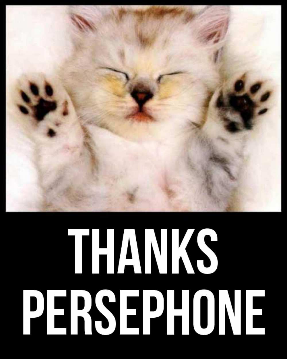 Greetings card с именем, Persephone Thanks маленький котенок Greetings with text for free download 