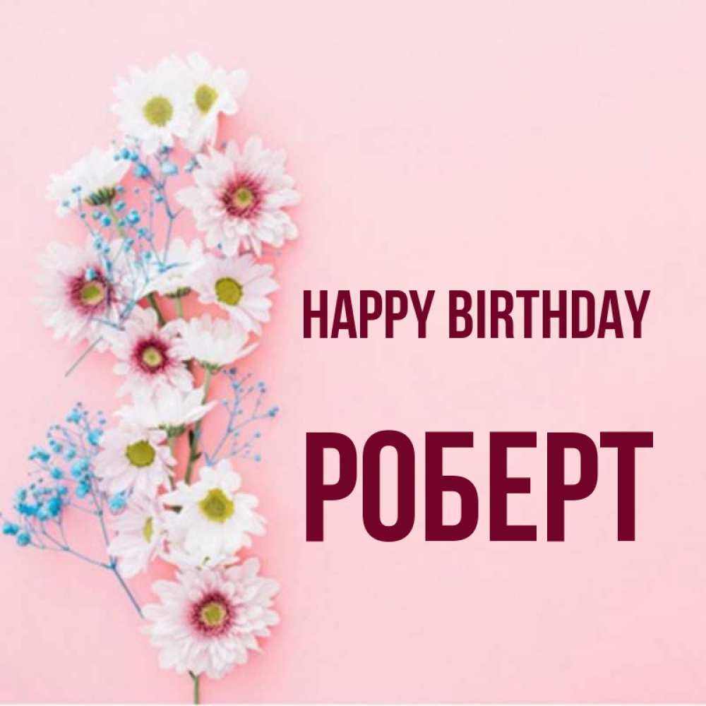 Greetings card с именем, Роберт Happy Birthday Родная моя с днем рождения тебя картинка с цветами белыми и голубыми Greetings with text for free download 