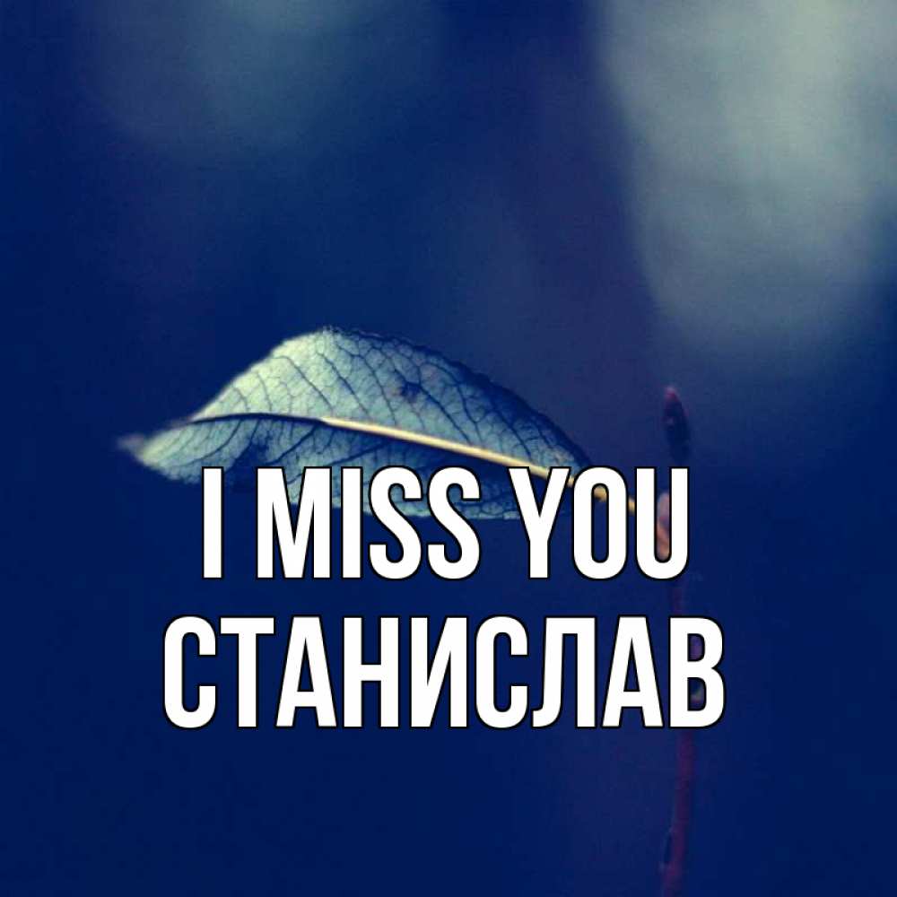 Greetings card с именем, Станислав I miss you одна ветка 1 Greetings with text for free download 