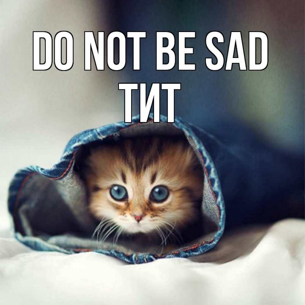 Greetings card с именем, Тит Do not be sad кот в одежде Greetings with text for free download 