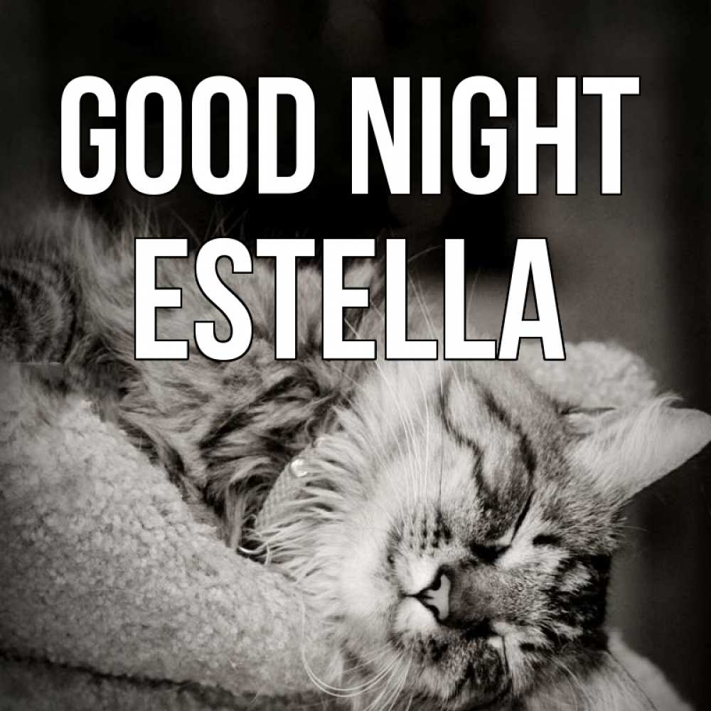 Greetings card с именем, Estella Good night котярик пушистый Greetings with text for free download 
