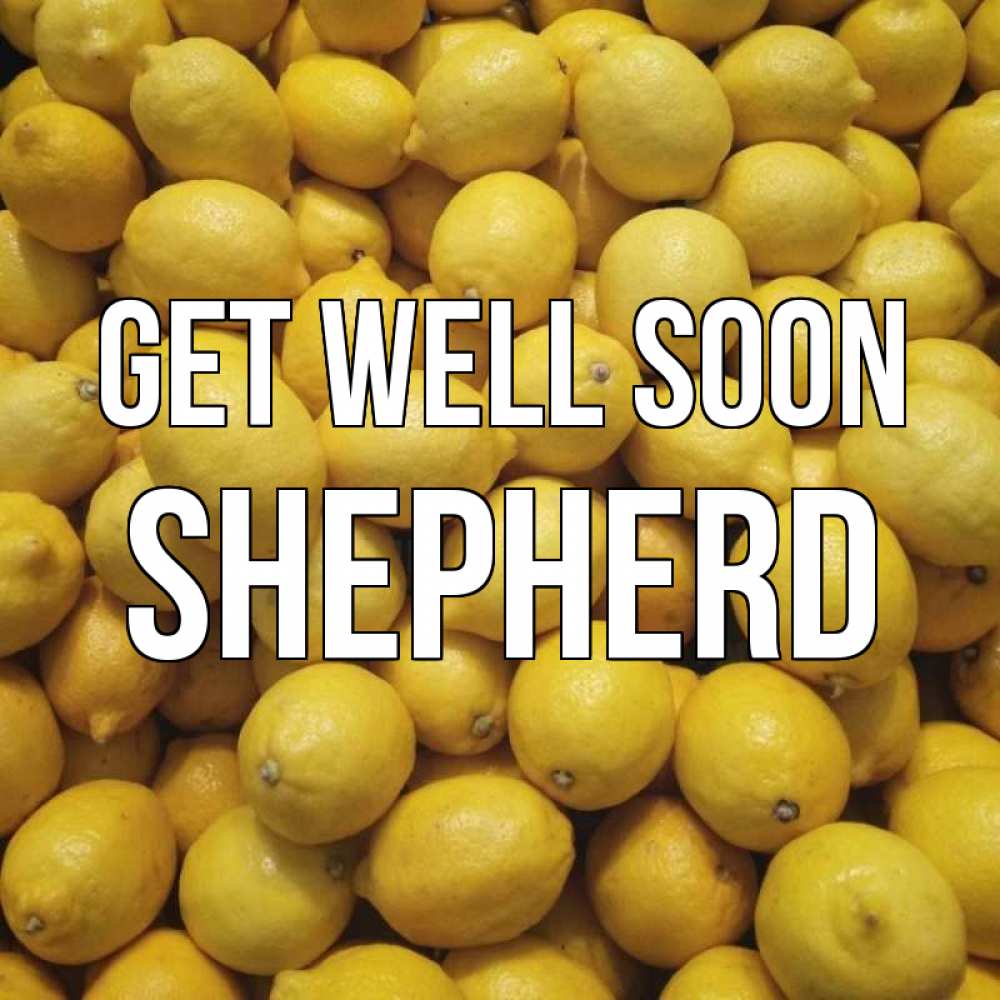 Greetings card с именем, Shepherd Get well soon это точно поможет Greetings with text for free download 