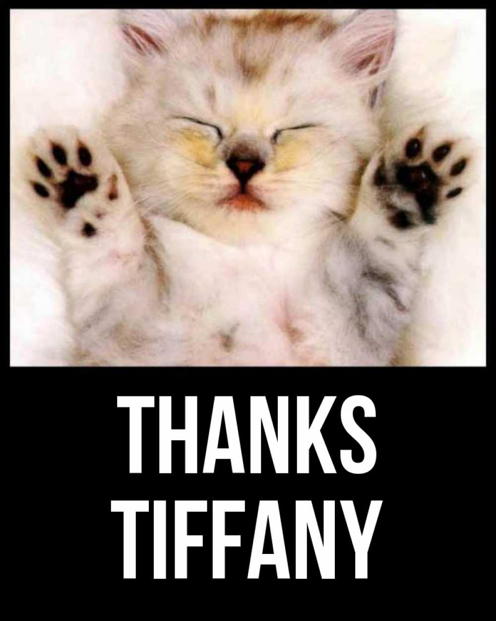Greetings card с именем, Tiffany Thanks маленький котенок Greetings with text for free download 