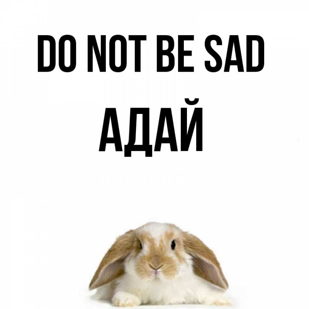 Greetings card с именем, Адай Do not be sad коричнево белый заяц с большими ушками Greetings with text for free download 