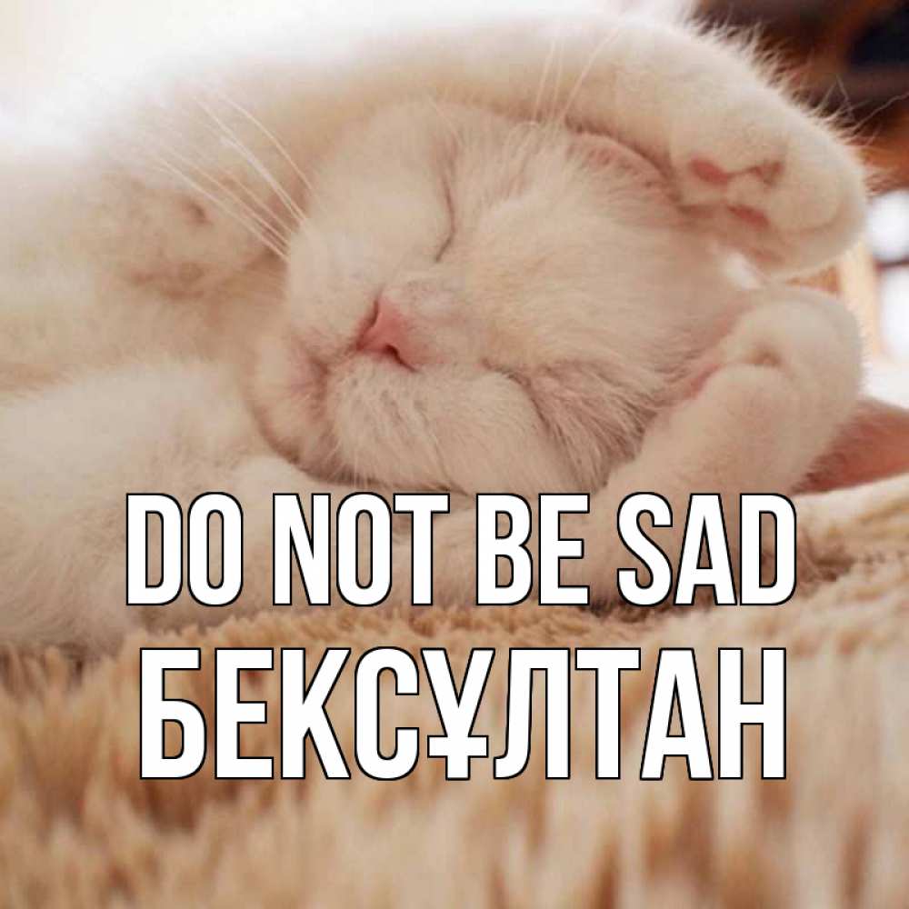 Greetings card с именем, Бексұлтан Do not be sad белый кот Greetings with text for free download 