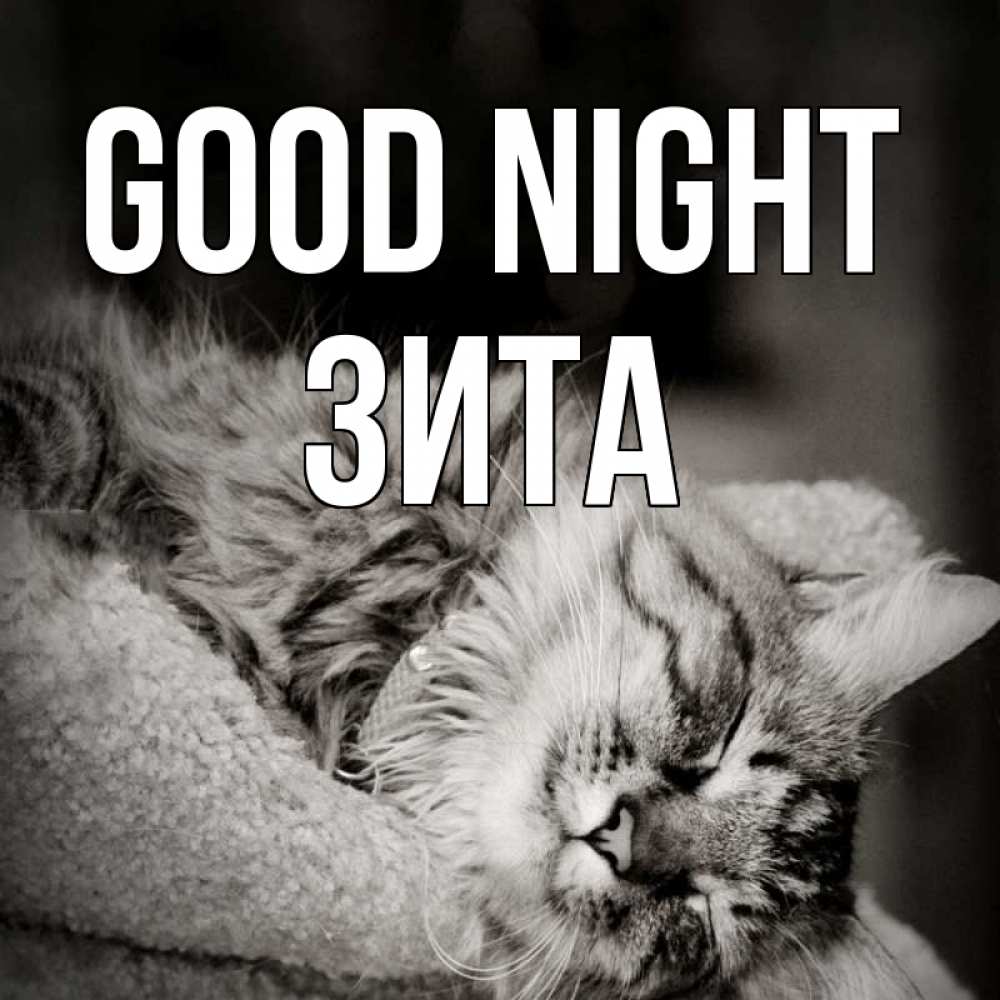 Greetings card с именем, Зита Good night котярик пушистый Greetings with text for free download 