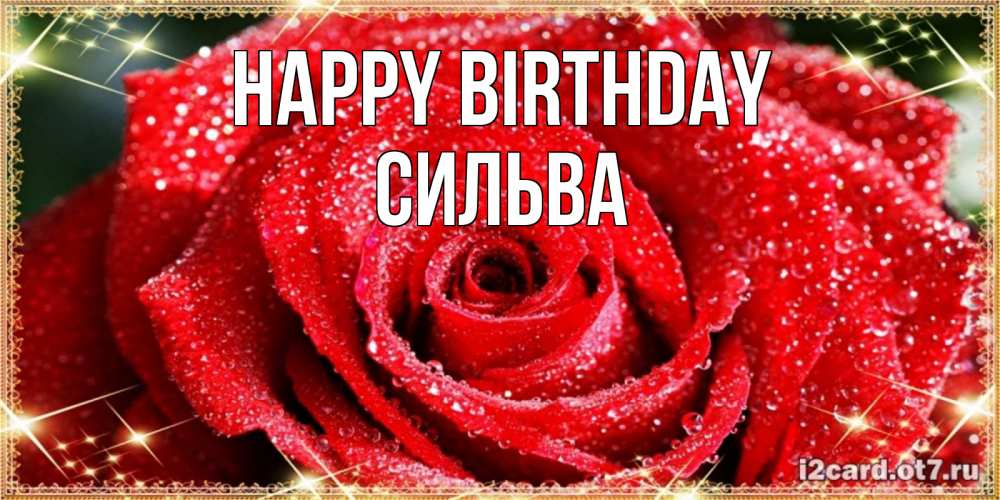Greetings card с именем, Сильва Happy Birthday роса и роза. открытка с красивой розой Greetings with text for free download 
