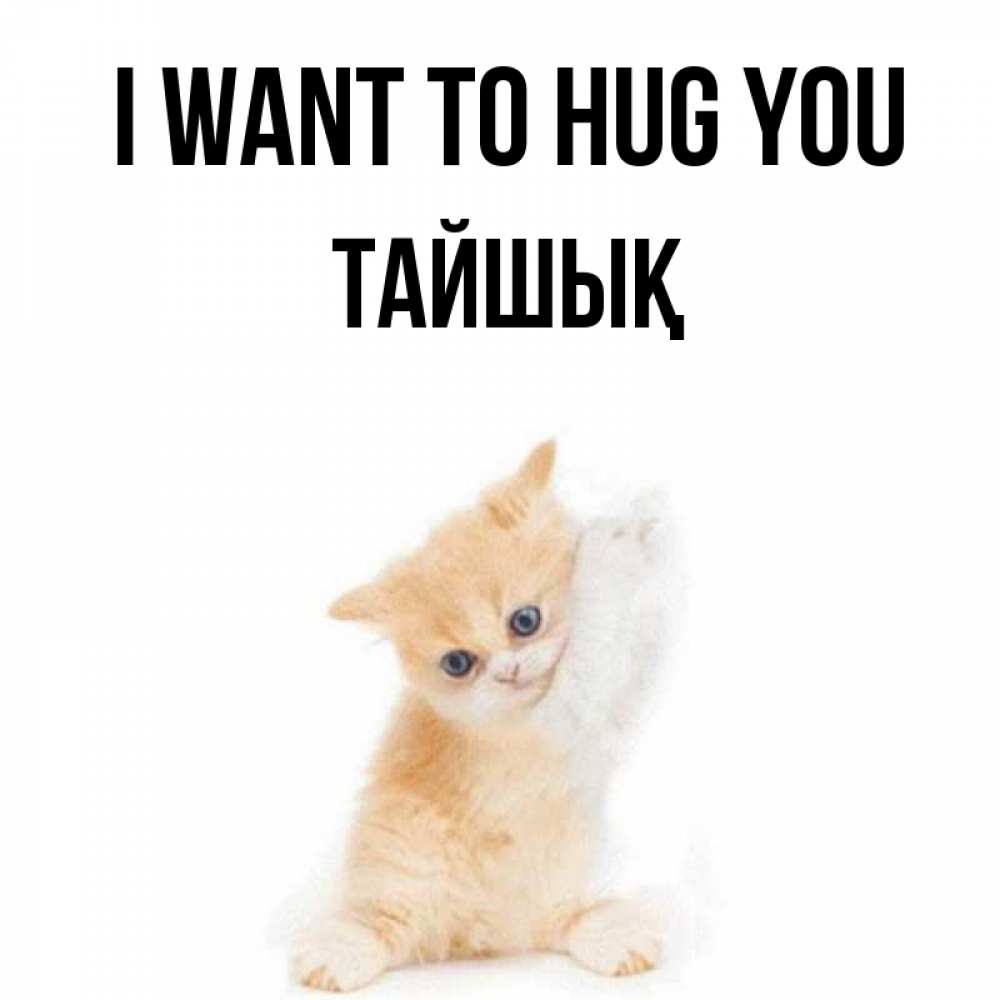 Greetings card с именем, ТАЙШЫҚ I want to hug you я хочу очень скорее обнимаешек Greetings with text for free download 
