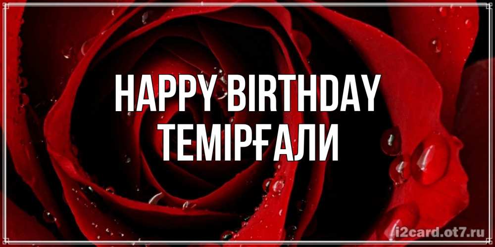 Greetings card с именем, ТЕМІРҒАЛИ Happy Birthday крупная бордовая роза Greetings with text for free download 