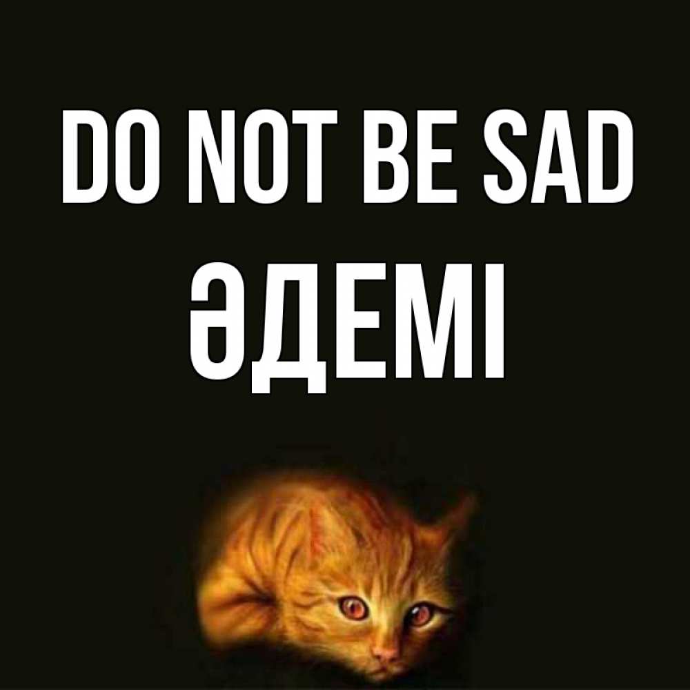 Greetings card с именем, ӘДЕМІ Do not be sad лежащий кот в темноте Greetings with text for free download 