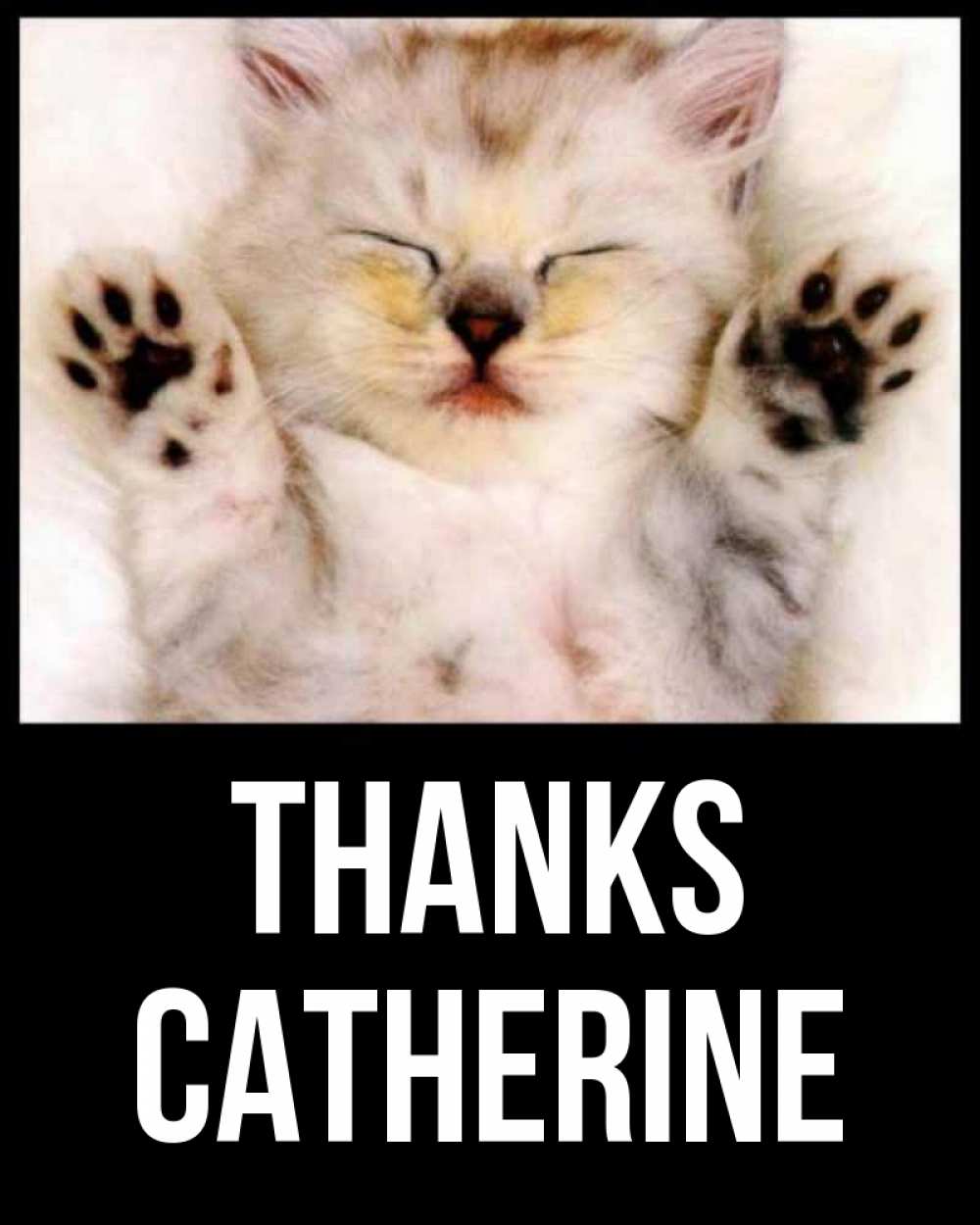 Greetings card с именем, Catherine Thanks маленький котенок Greetings with text for free download 