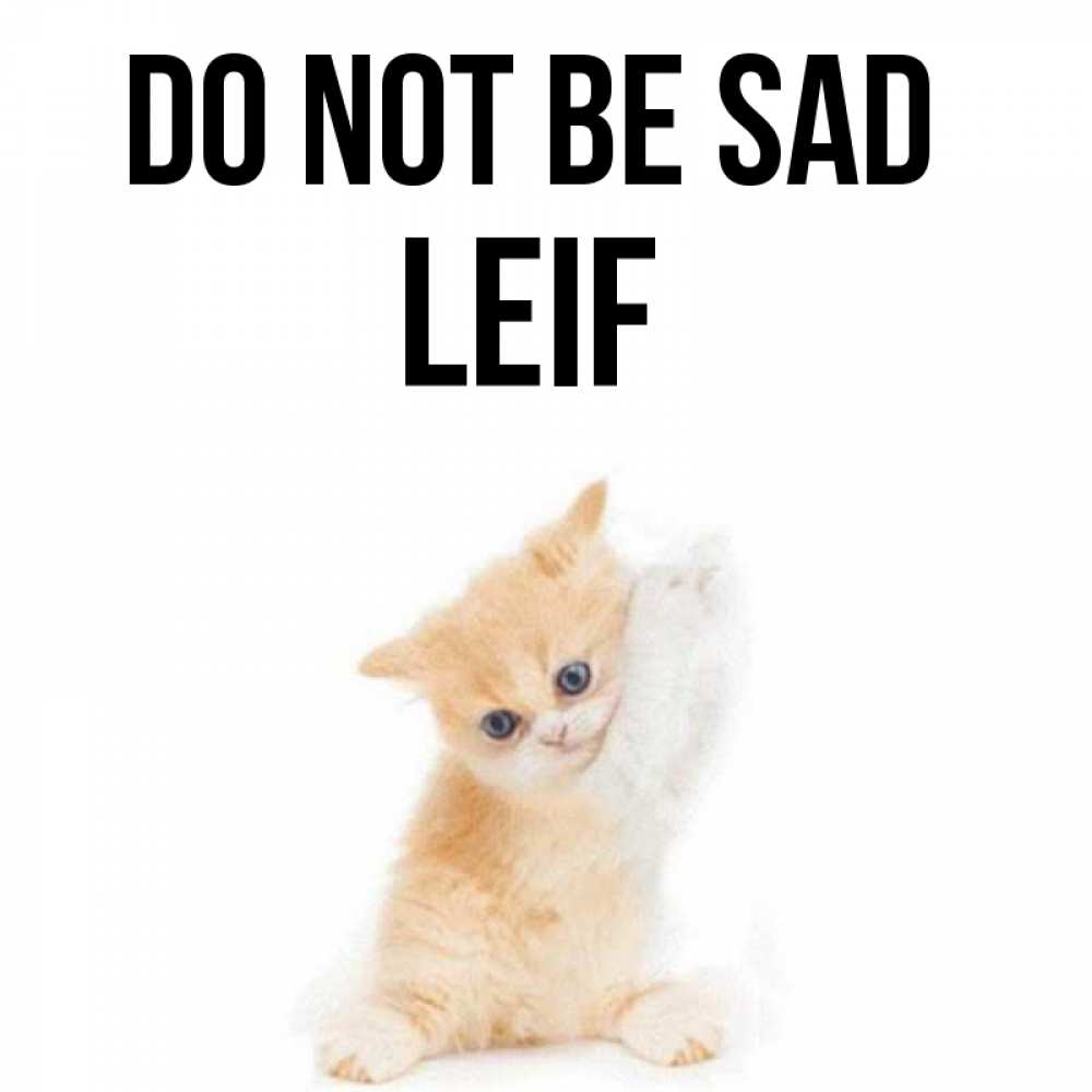 Greetings card с именем, Leif Do not be sad просящий кот Greetings with text for free download 