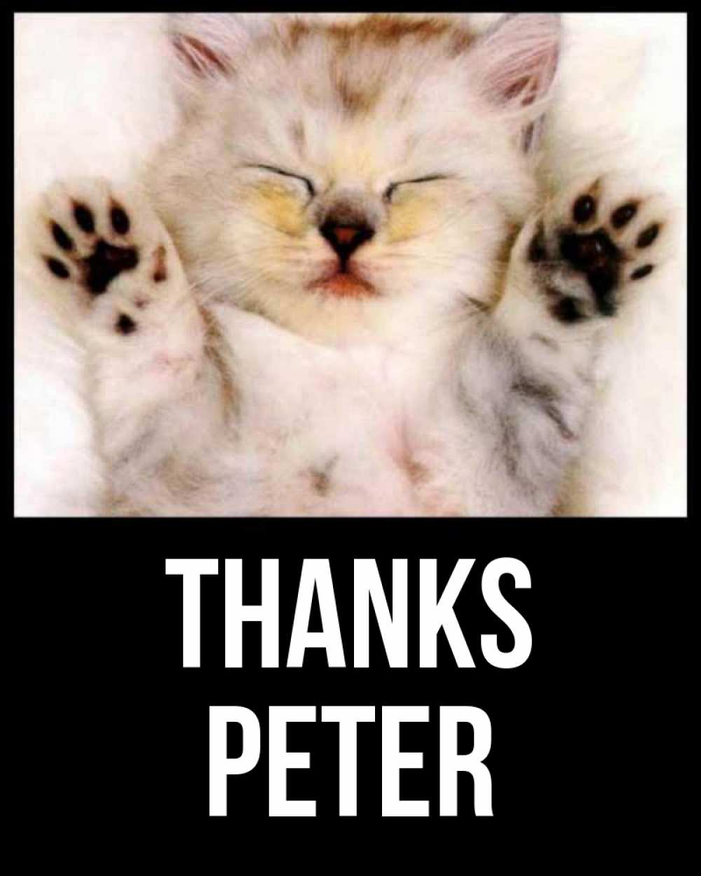 Greetings card с именем, Peter Thanks маленький котенок Greetings with text for free download 