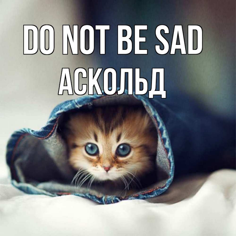 Greetings card с именем, Аскольд Do not be sad рыжик котик Greetings with text for free download 