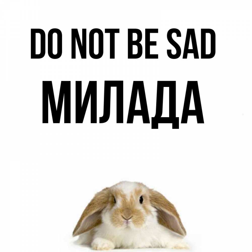 Greetings card с именем, Милада Do not be sad коричнево белый заяц с большими ушками Greetings with text for free download 