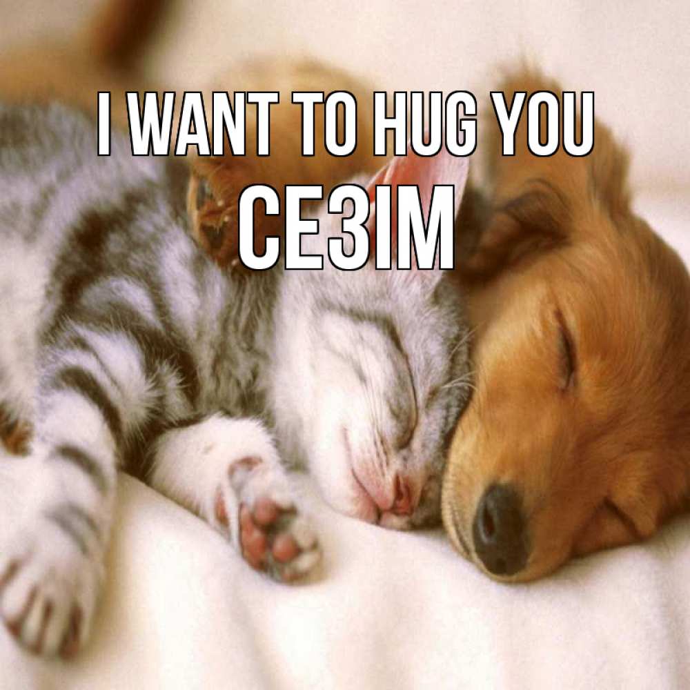 Greetings card с именем, СЕЗІМ I want to hug you пес и котенок Greetings with text for free download 