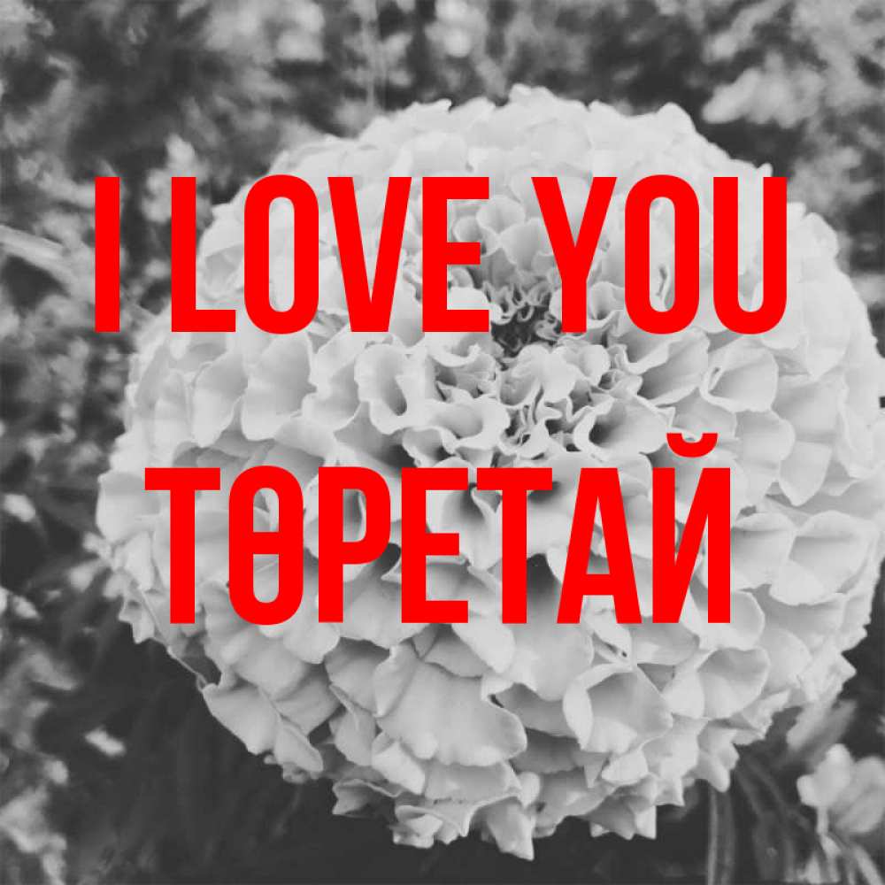 Greetings card с именем, Төретай I love you подпись Greetings with text for free download 