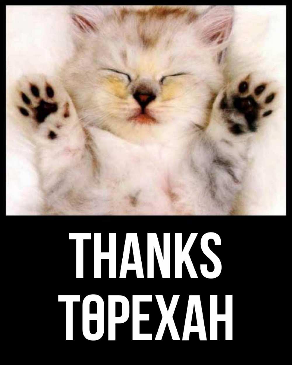 Greetings card с именем, Төрехан Thanks маленький котенок Greetings with text for free download 