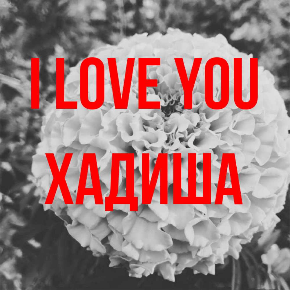 Greetings card с именем, ХАДИША I love you подпись Greetings with text for free download 