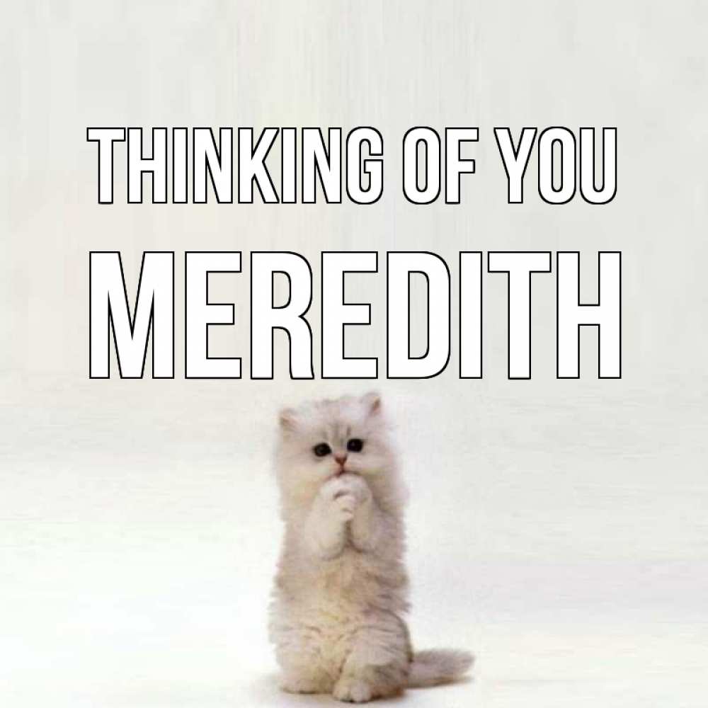 Greetings card с именем, Meredith Thinking of you кот стоит на задних лапах Greetings with text for free download 