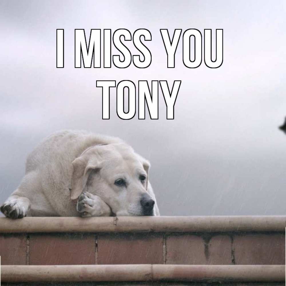 Greetings card с именем, Tony I miss you ждет Greetings with text for free download 