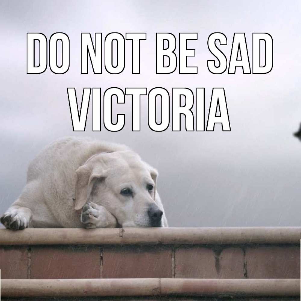 Greetings card с именем, Victoria Do not be sad белый пес 1 Greetings with text for free download 