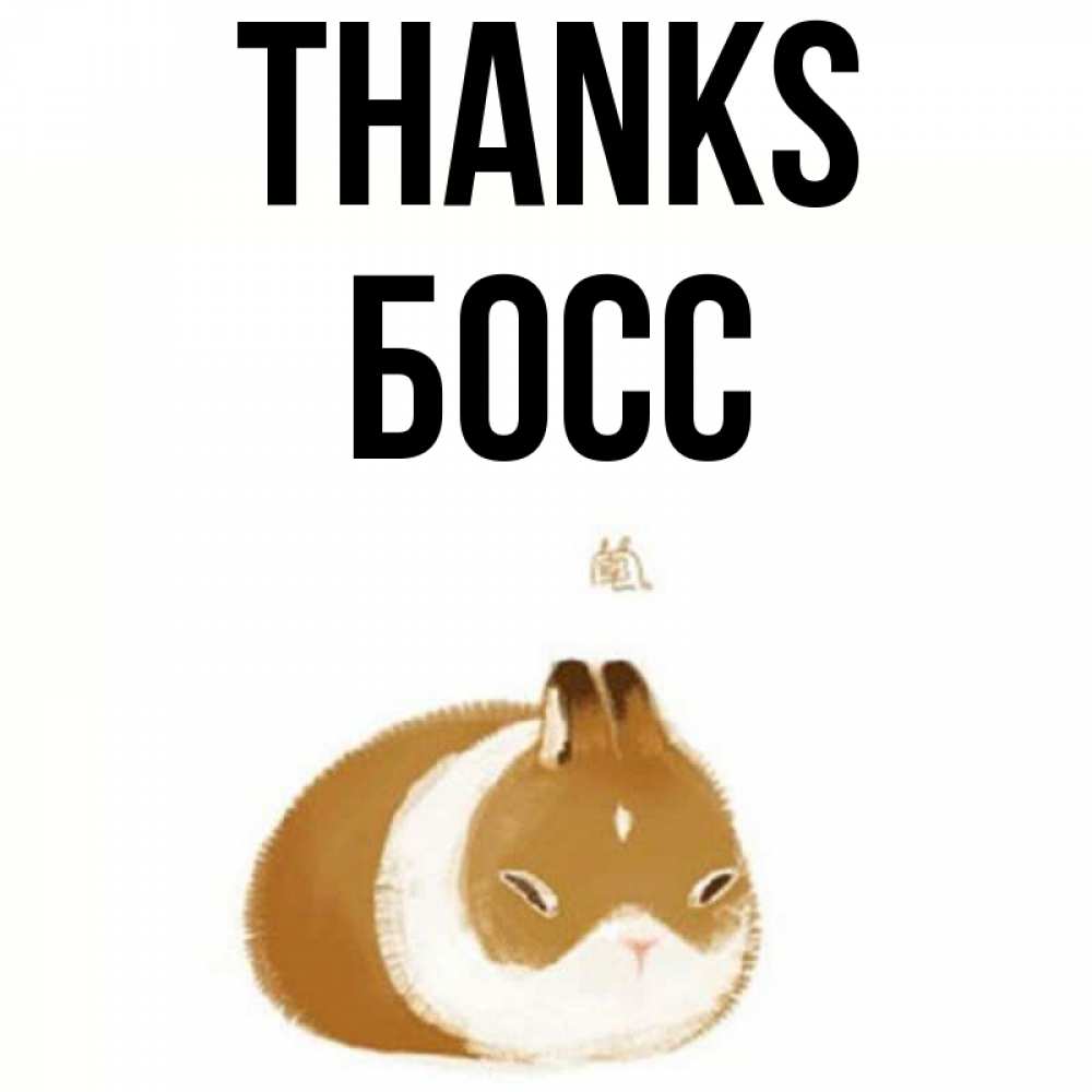 Greetings card с именем, Босс Thanks коричнево белый домашний питомец Greetings with text for free download 