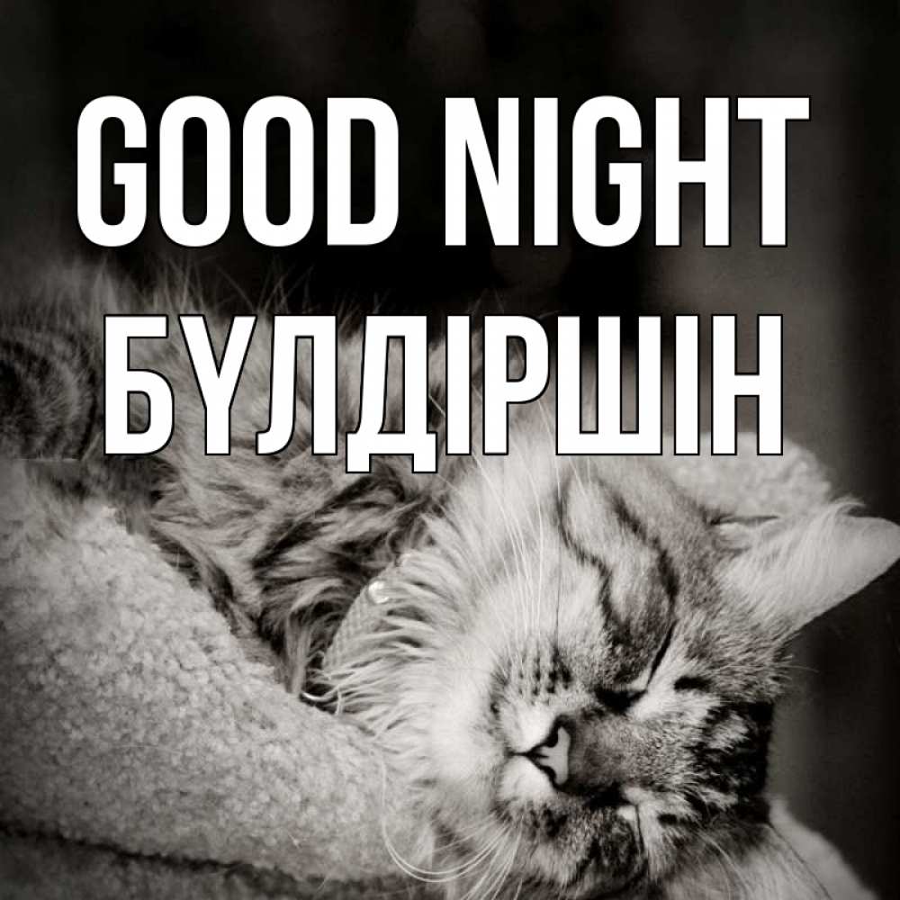 Greetings card с именем, БҮЛДІРШІН Good night котярик пушистый Greetings with text for free download 