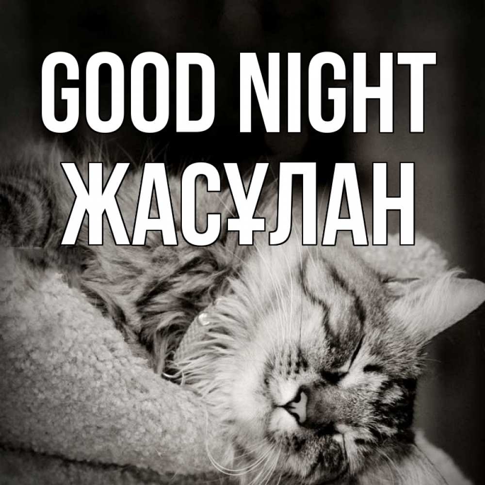Greetings card с именем, Жасұлан Good night котярик пушистый Greetings with text for free download 