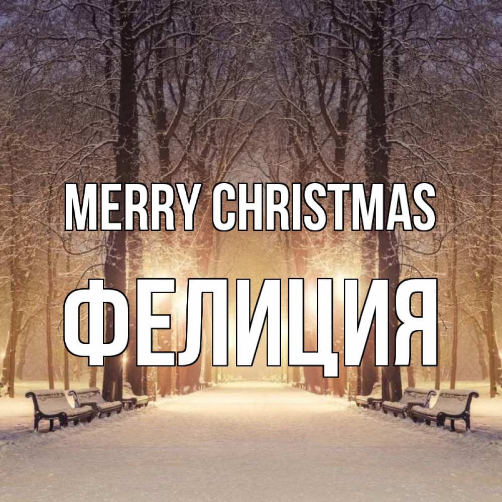 Greetings card с именем, Фелиция Merry Christmas зима, парк, фонарь, лес Greetings with text for free download 