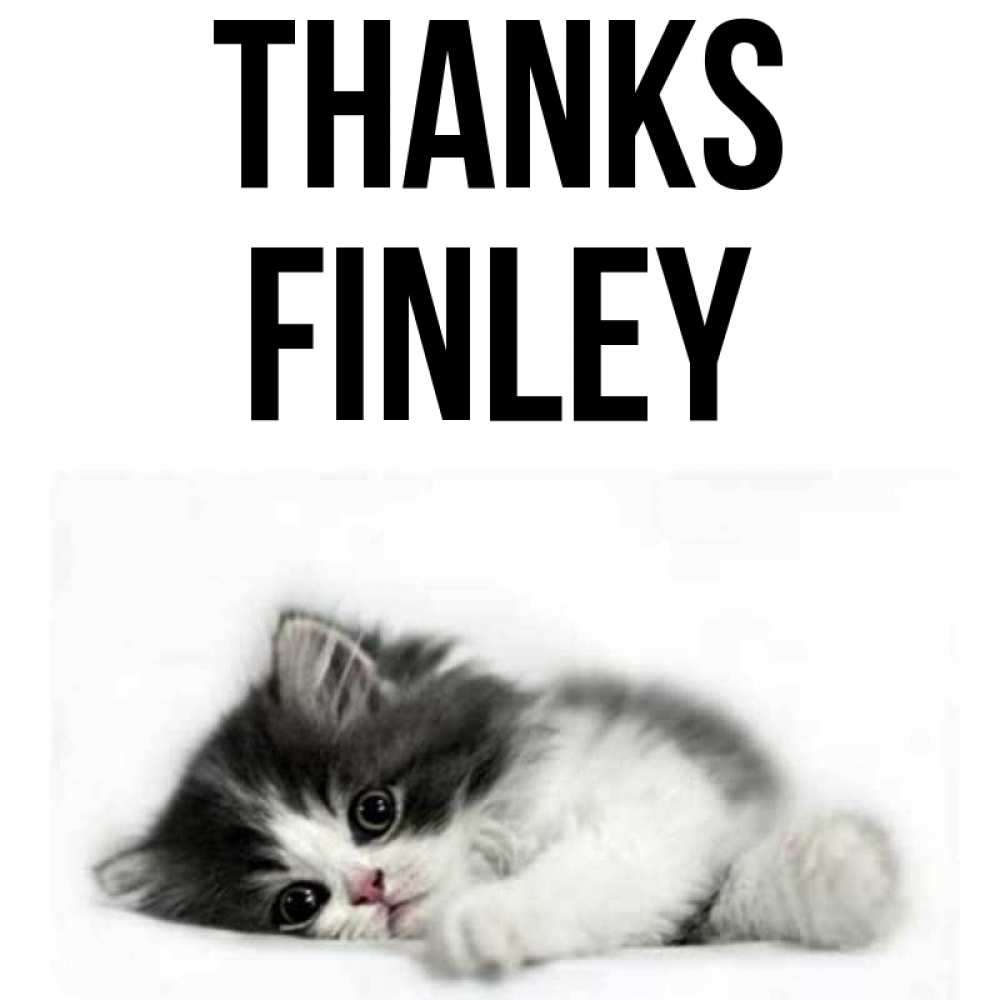 Greetings card с именем, Finley Thanks черный и белый кот Greetings with text for free download 